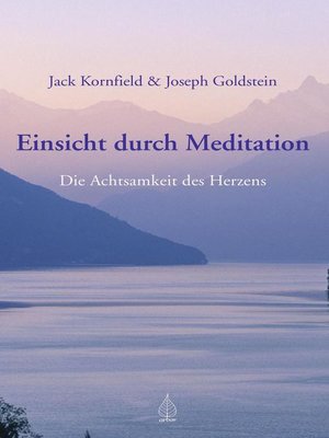 cover image of Einsicht durch Meditation